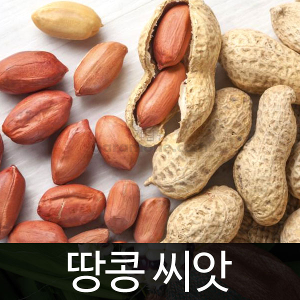 peanut seed (30g)