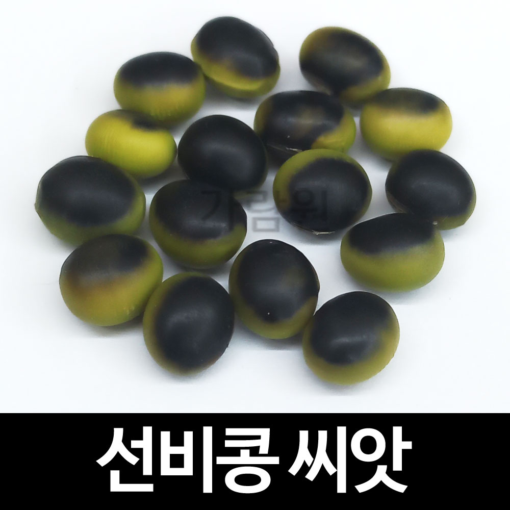 seonbi bean seed ( 50 seeds )