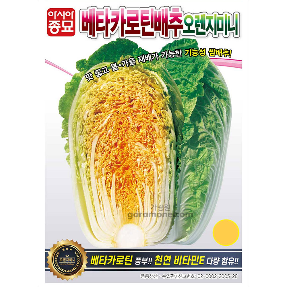orange mini cabbage seed ( 100 seeds )