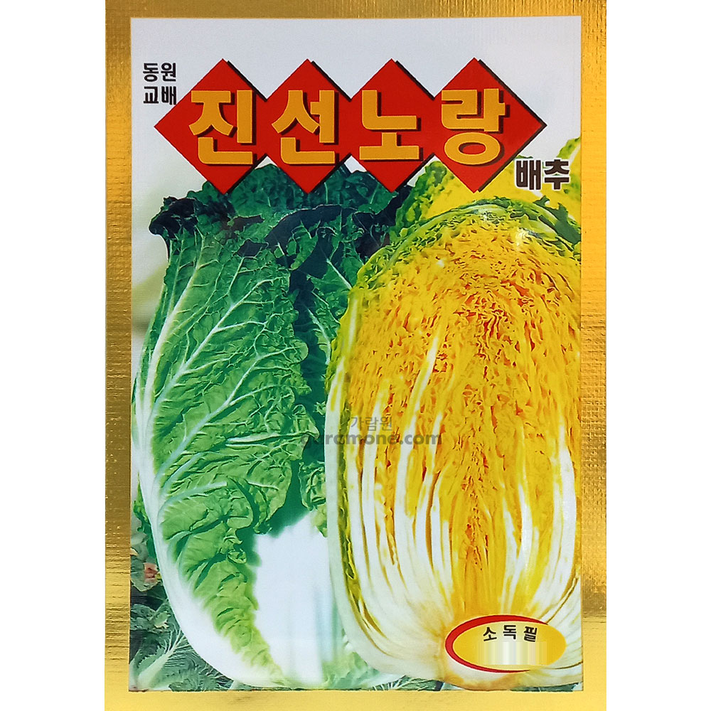 yellow cabbage seed ( 1000 seeds )