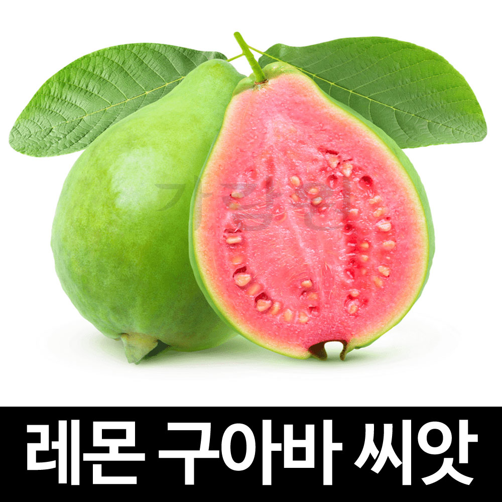lemon guava seed ( 20 seeds )