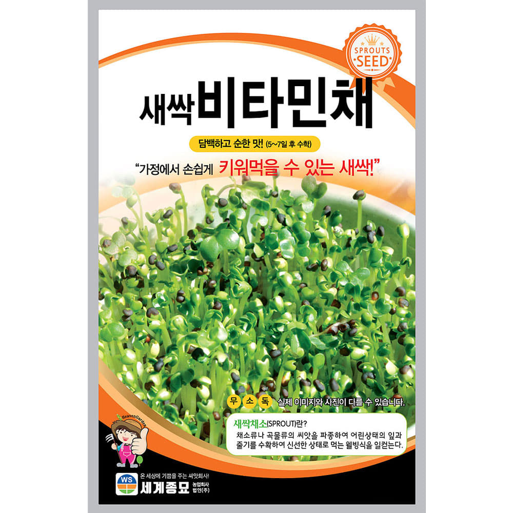 새싹 sprout lettuce vitamin seed ( 7000 seeds )