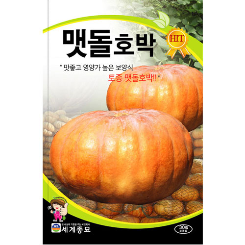 pumpkin seed (30 seeds)