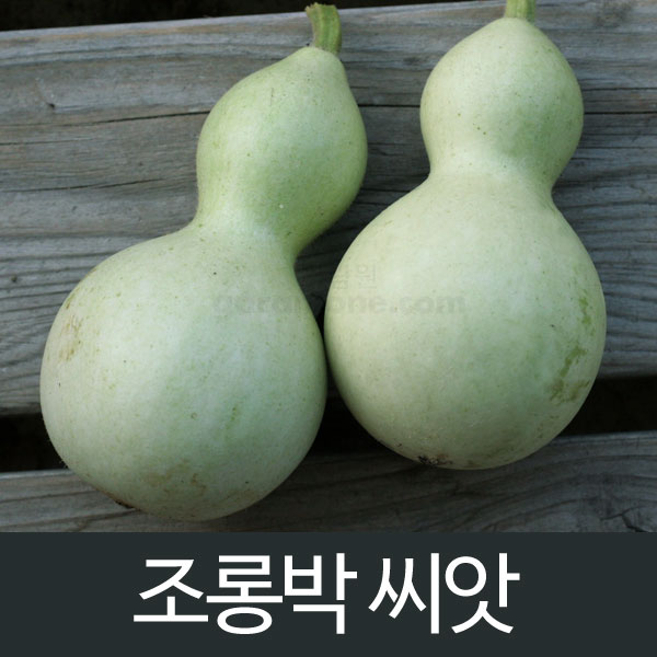 gourd seed (5 seeds)
